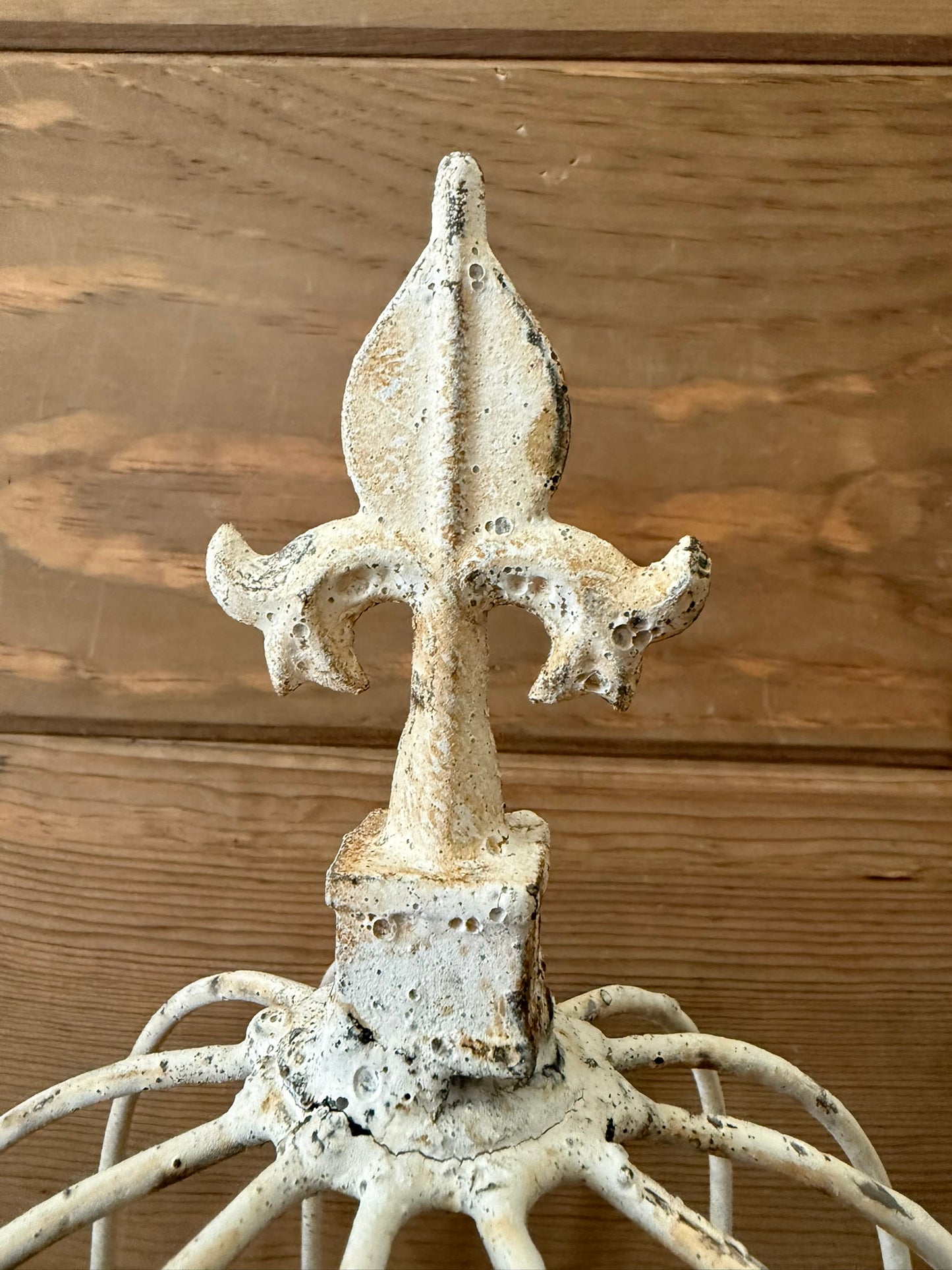 Garden/Home Decor Iron Cloche With Finnial