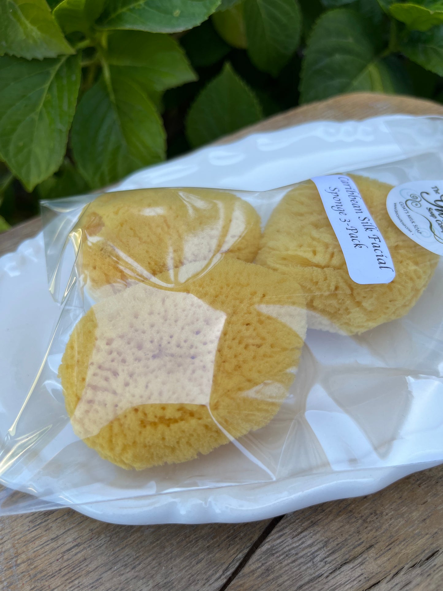Caribbean Silk Facial Sponge 3-Pack-OUT OF STOCK