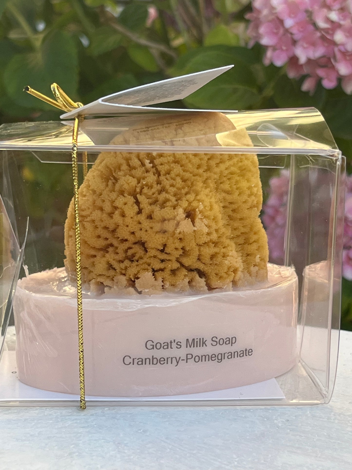 Goat's Milk Soap With a Natural Sea Sponge Cranberry-Pomegranate-Low in Stock