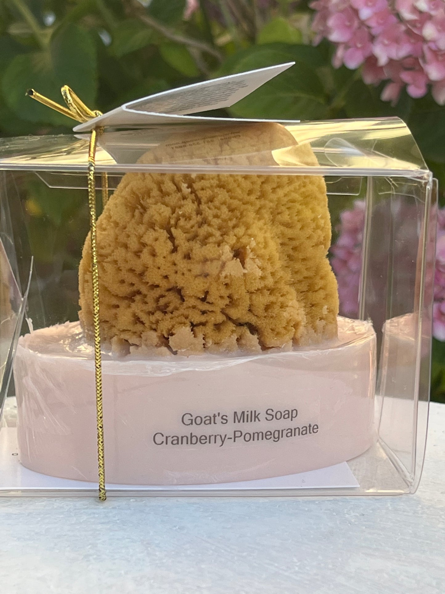 Goat's Milk Soap With a Natural Sea Sponge Cranberry-Pomegranate-Low in Stock
