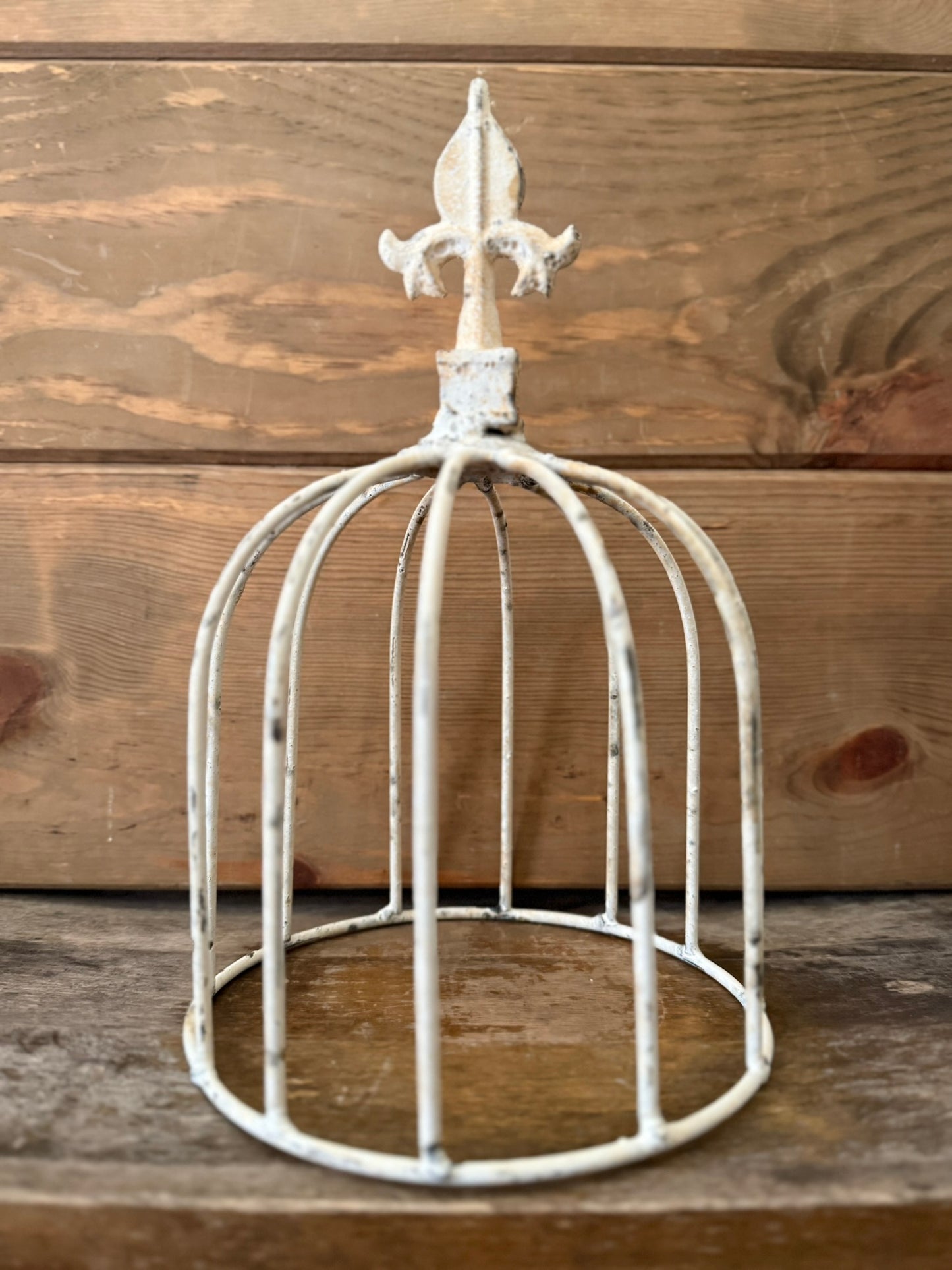 Garden/Home Decor Iron Cloche With Finnial