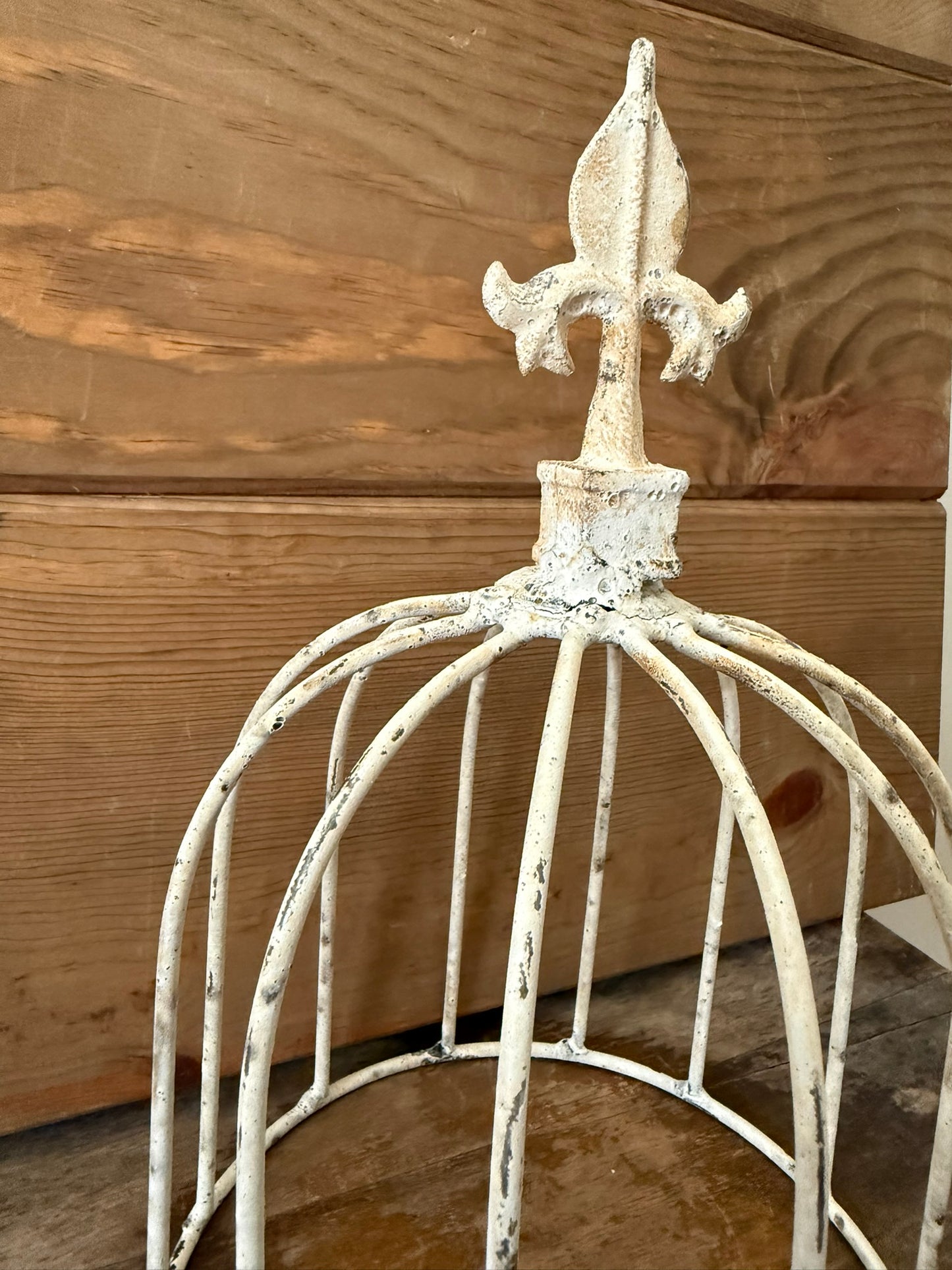 Garden/Home Decor Iron Cloche With Finnial