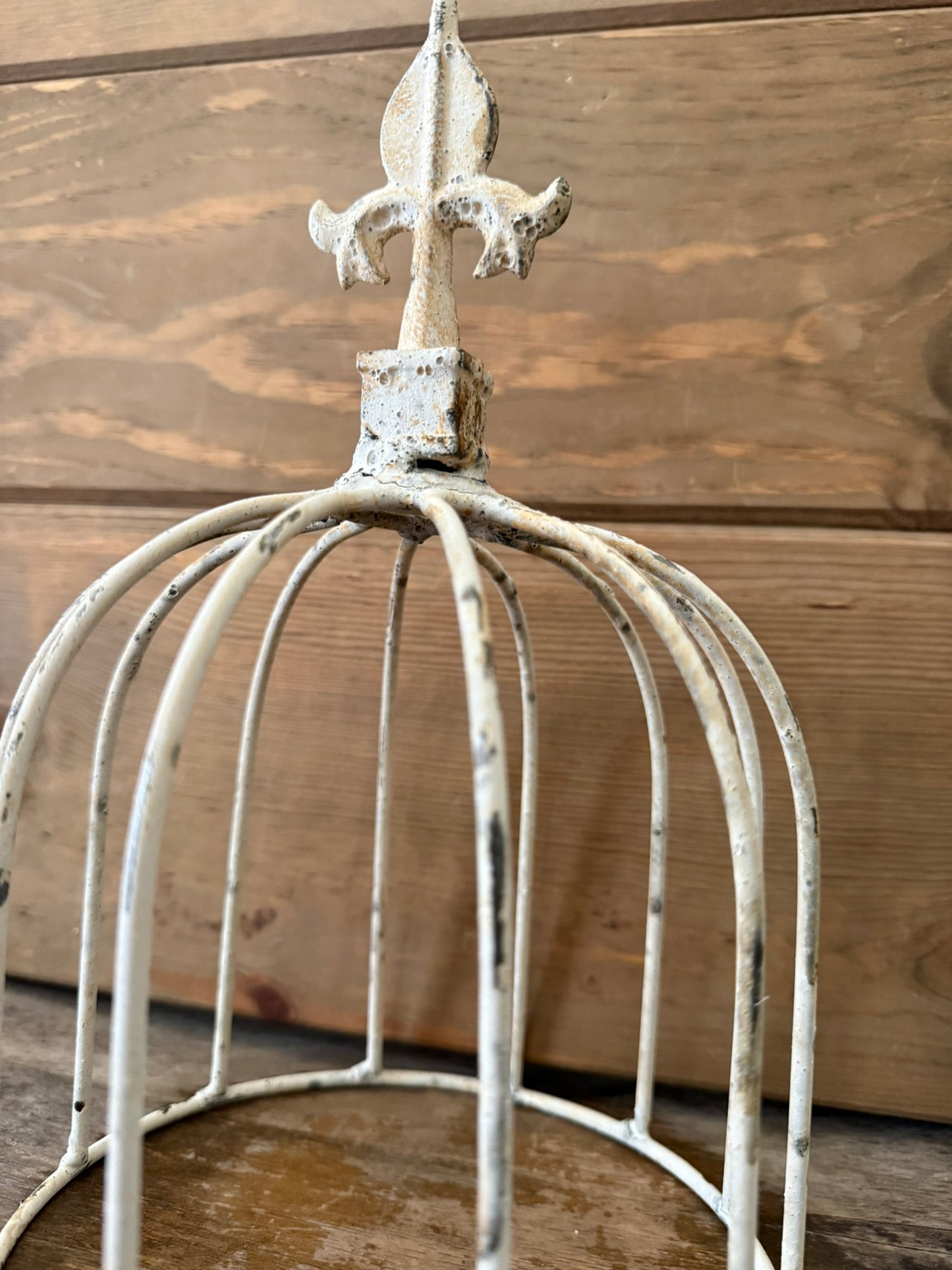 Garden/Home Decor Iron Cloche With Finnial