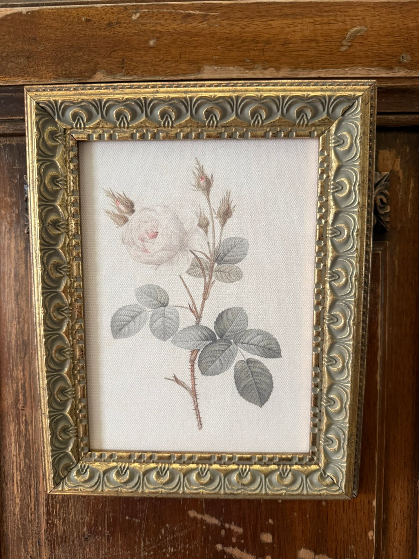 Rose Framed Art