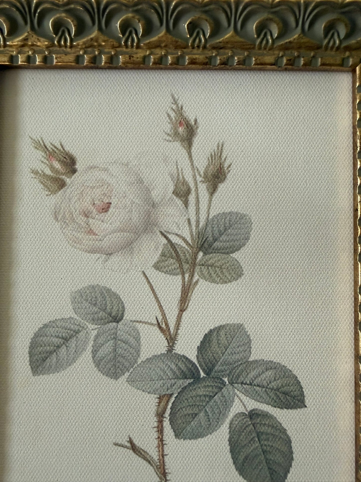 Rose Framed Art