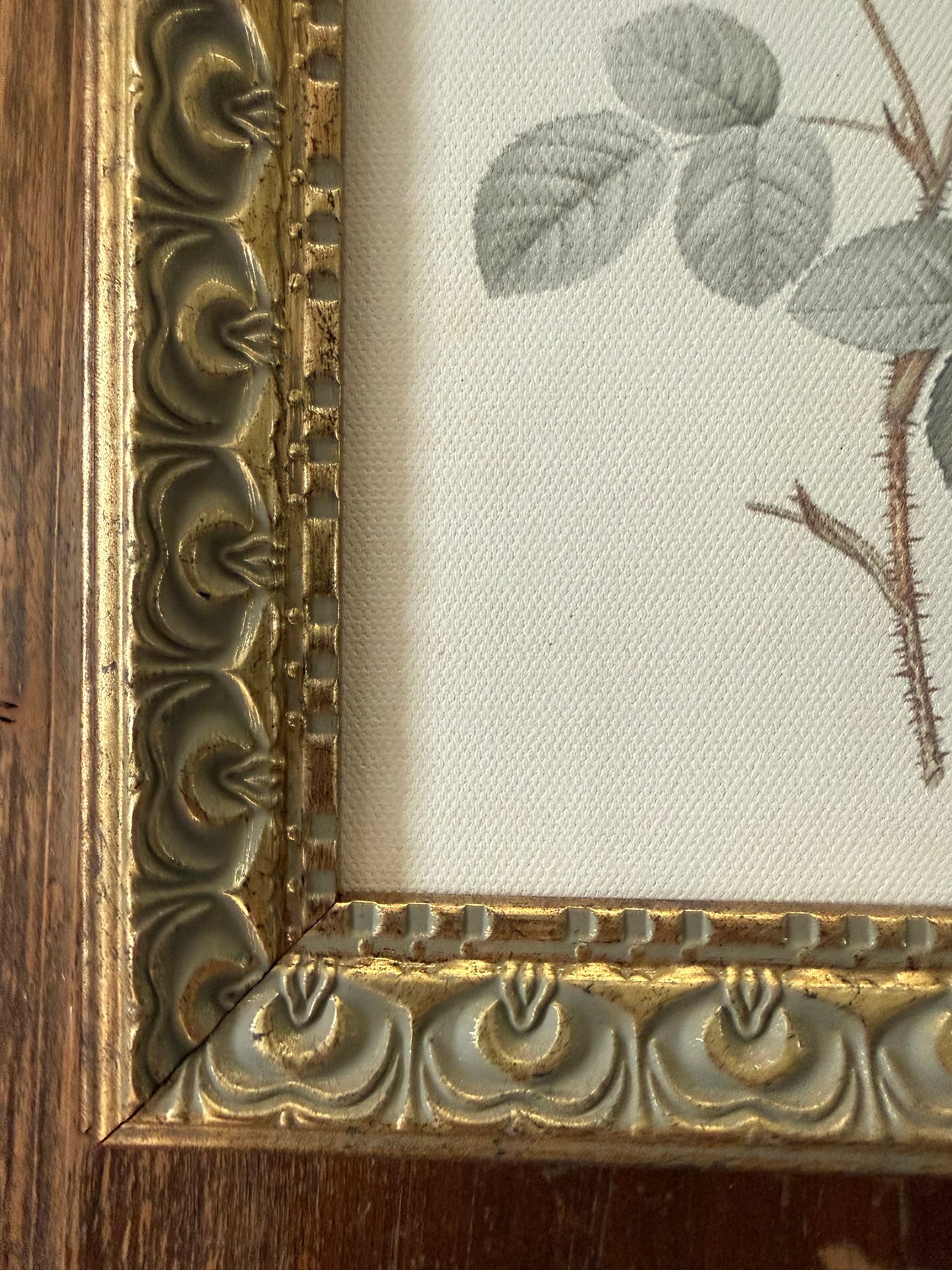 Rose Framed Art