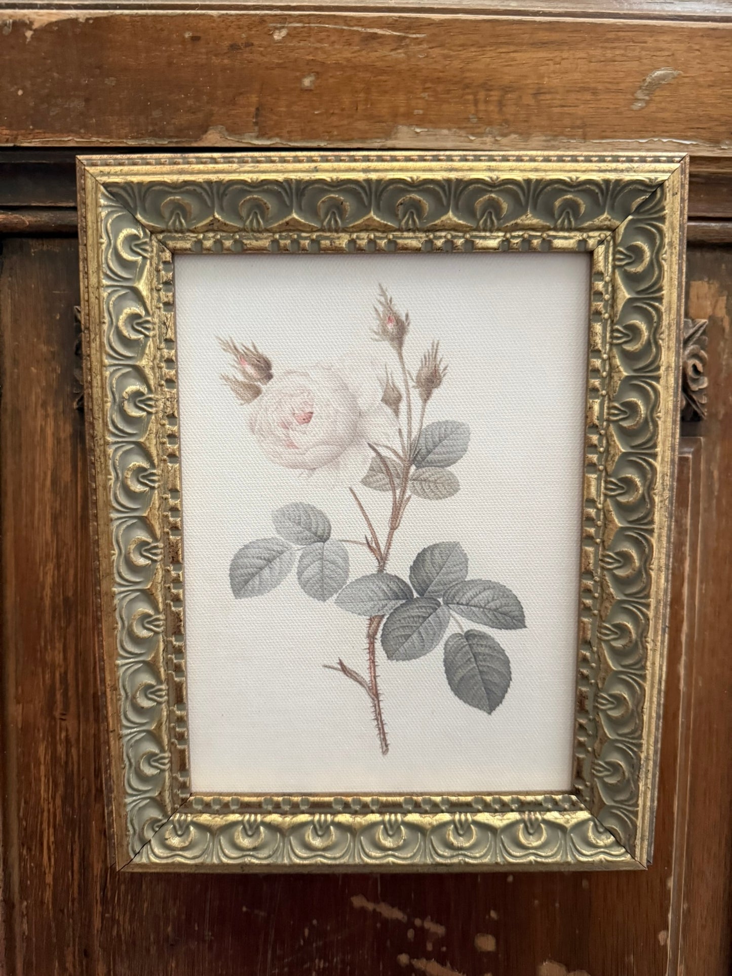 Rose Framed Art