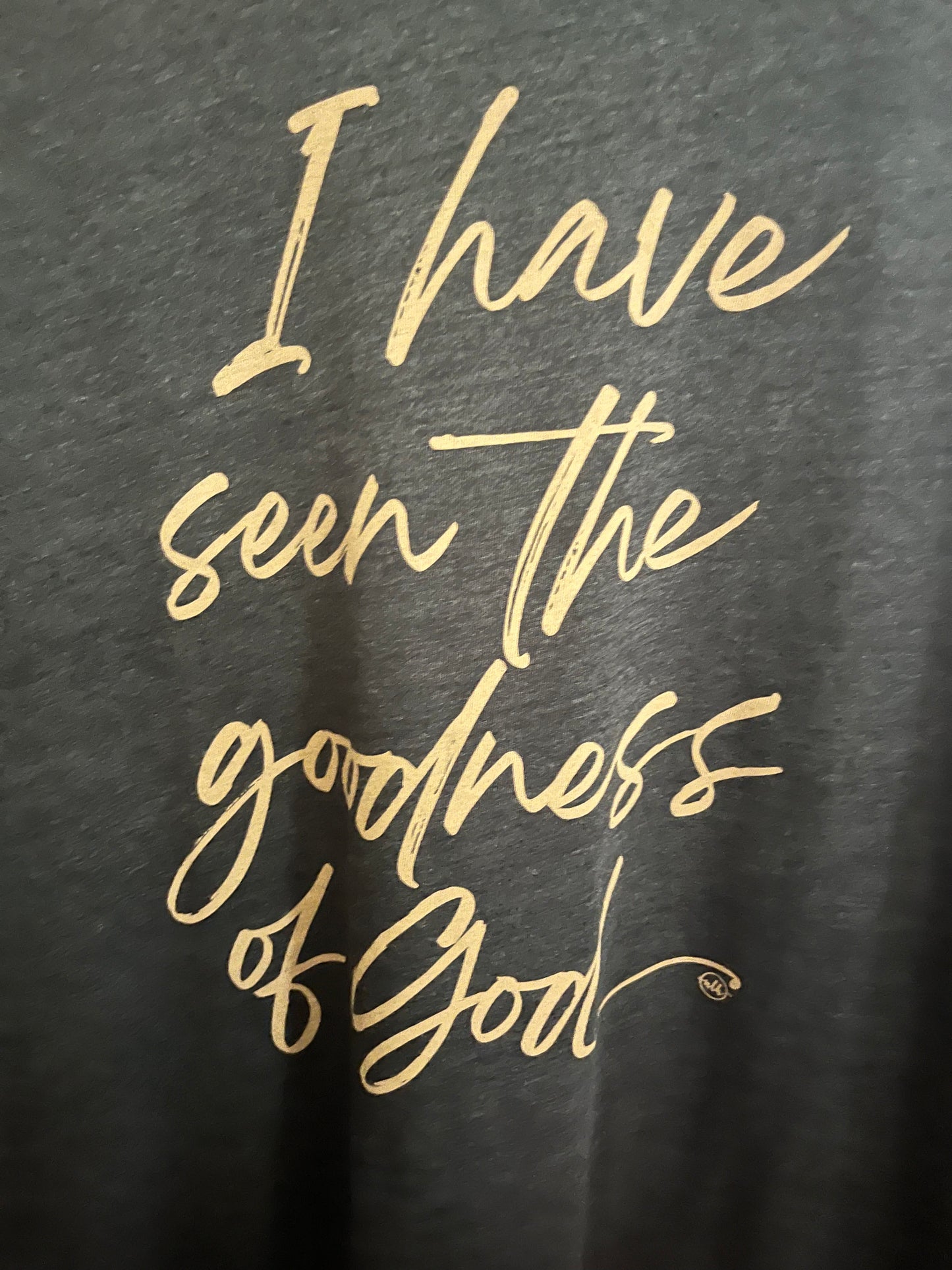 I have seen the goodness of God Christian Graphic Tee