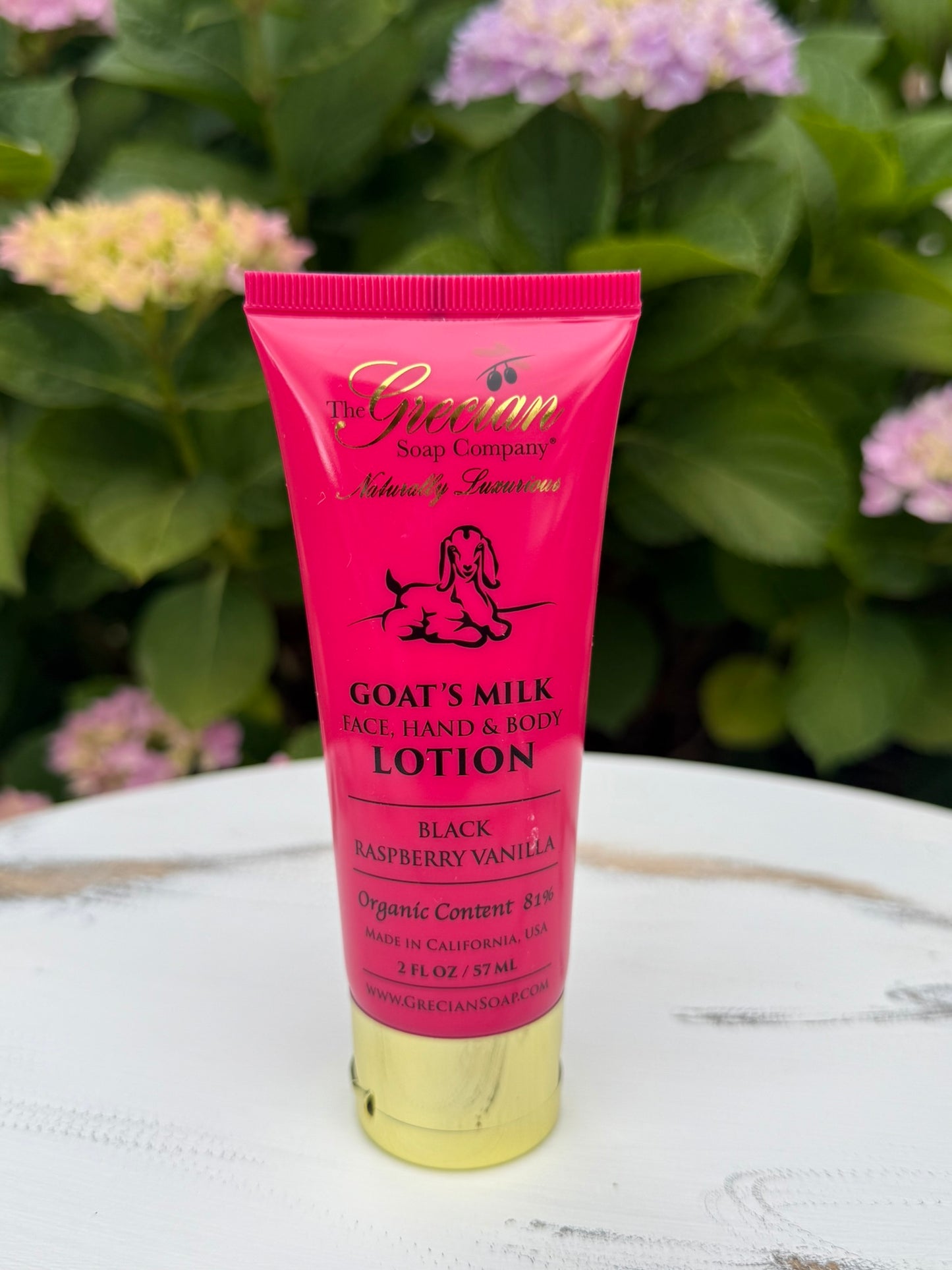 Black Raspberry Vanilla Goat Milk Lotion