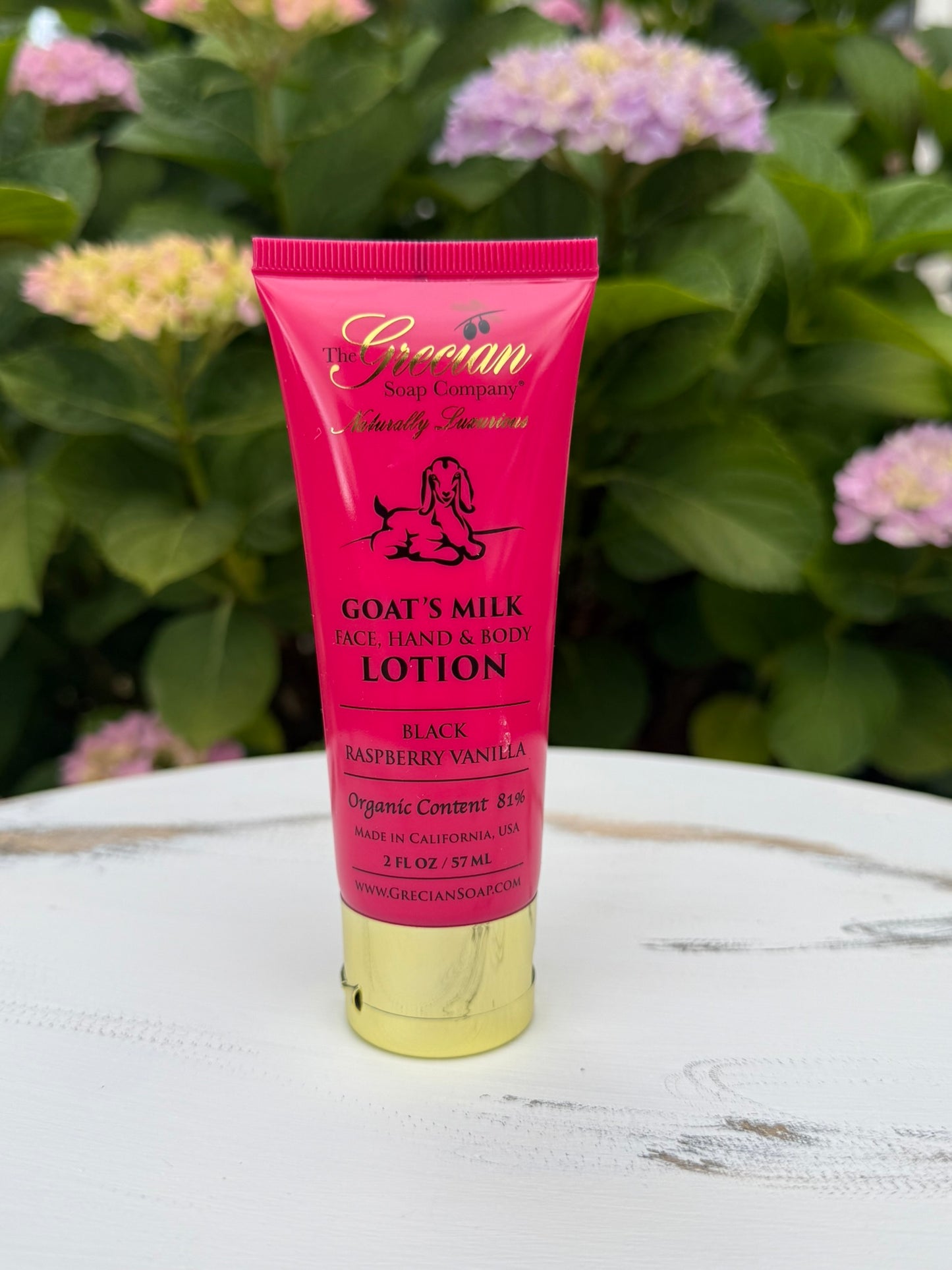 Black Raspberry Vanilla Goat Milk Lotion