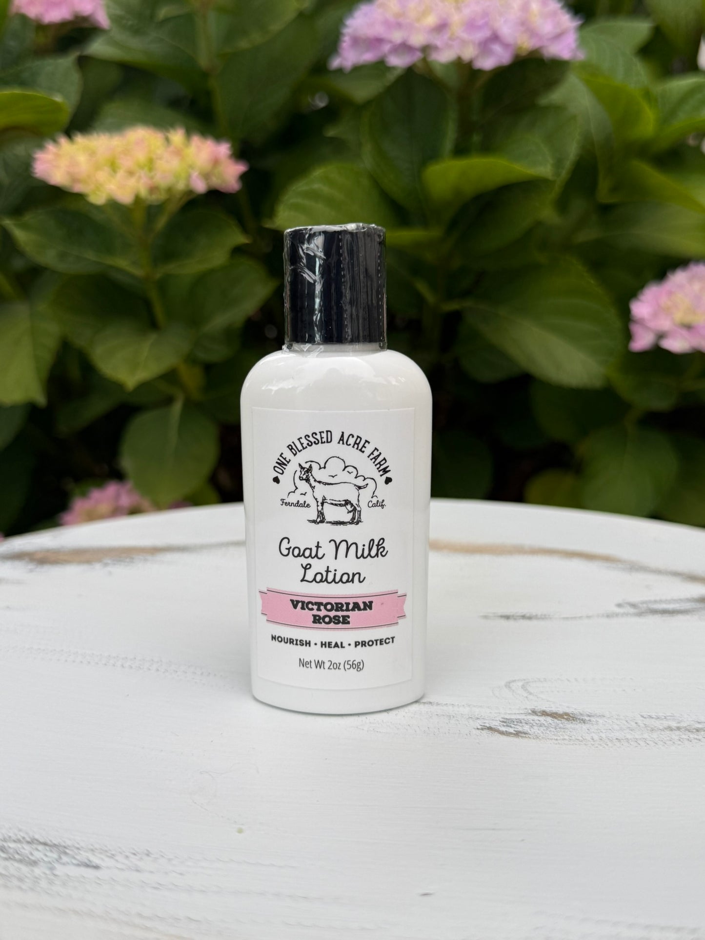 Rose Goat Milk Lotion