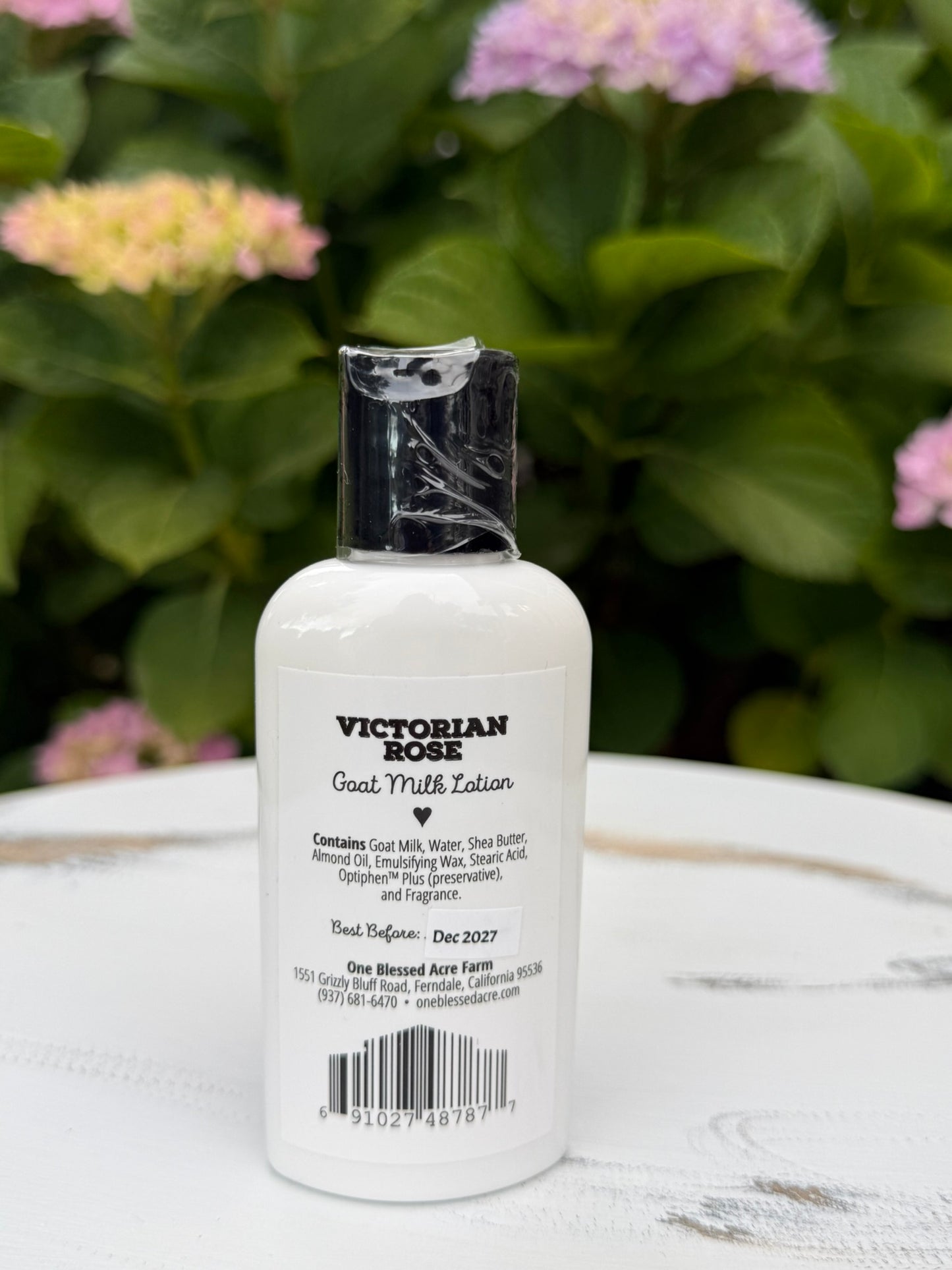 Rose Goat Milk Lotion