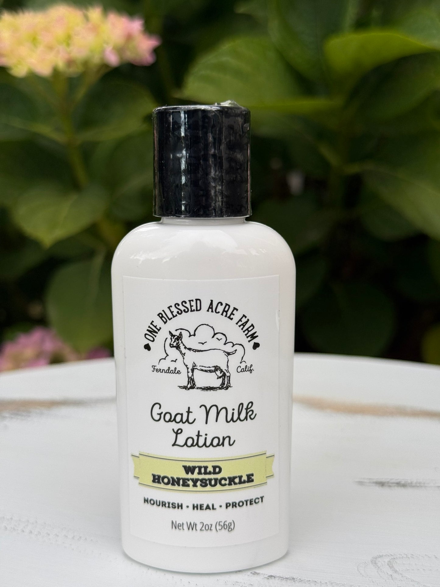 Honeysuckle Goat Milk Lotion