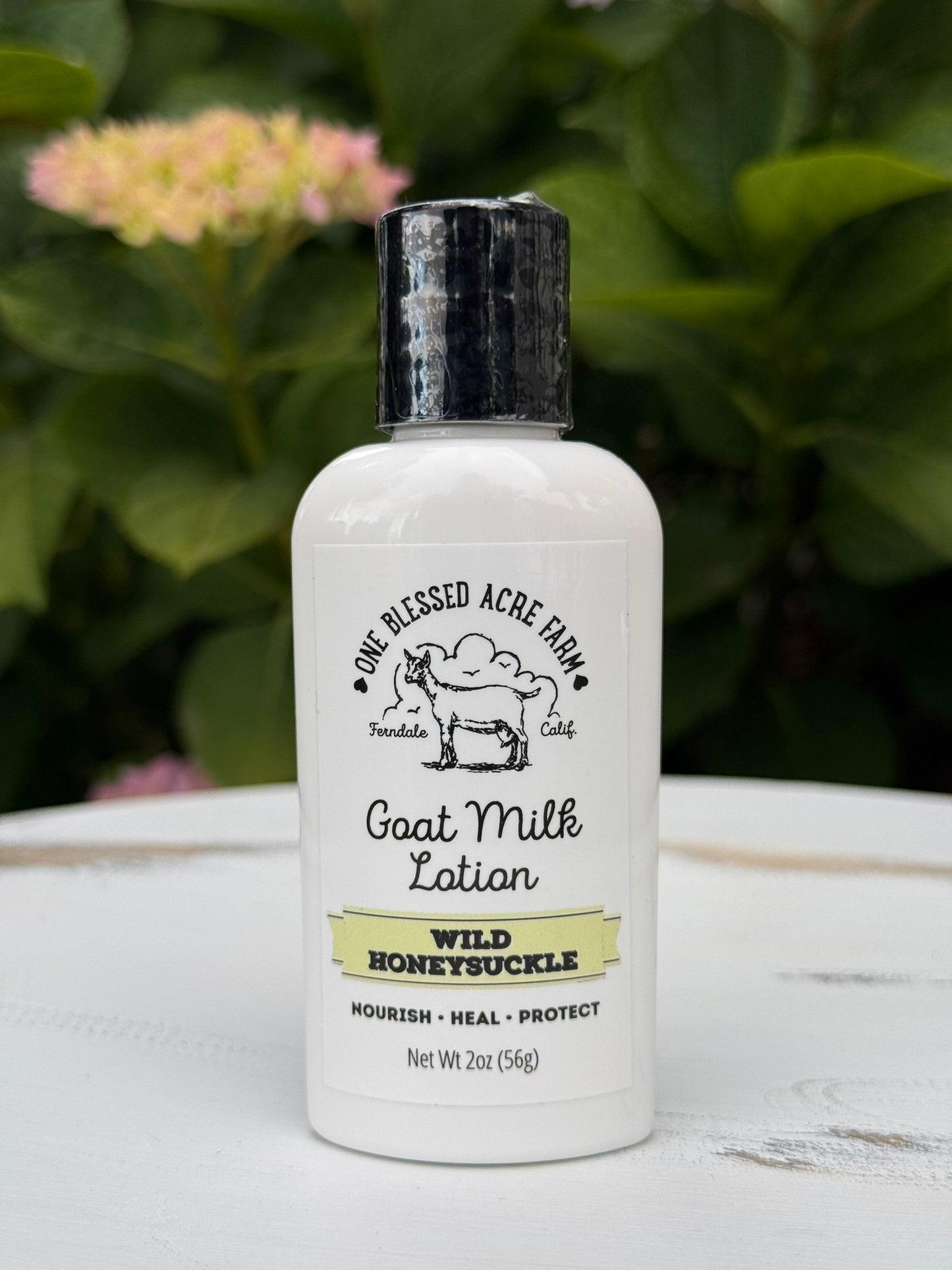 Honeysuckle Goat Milk Lotion