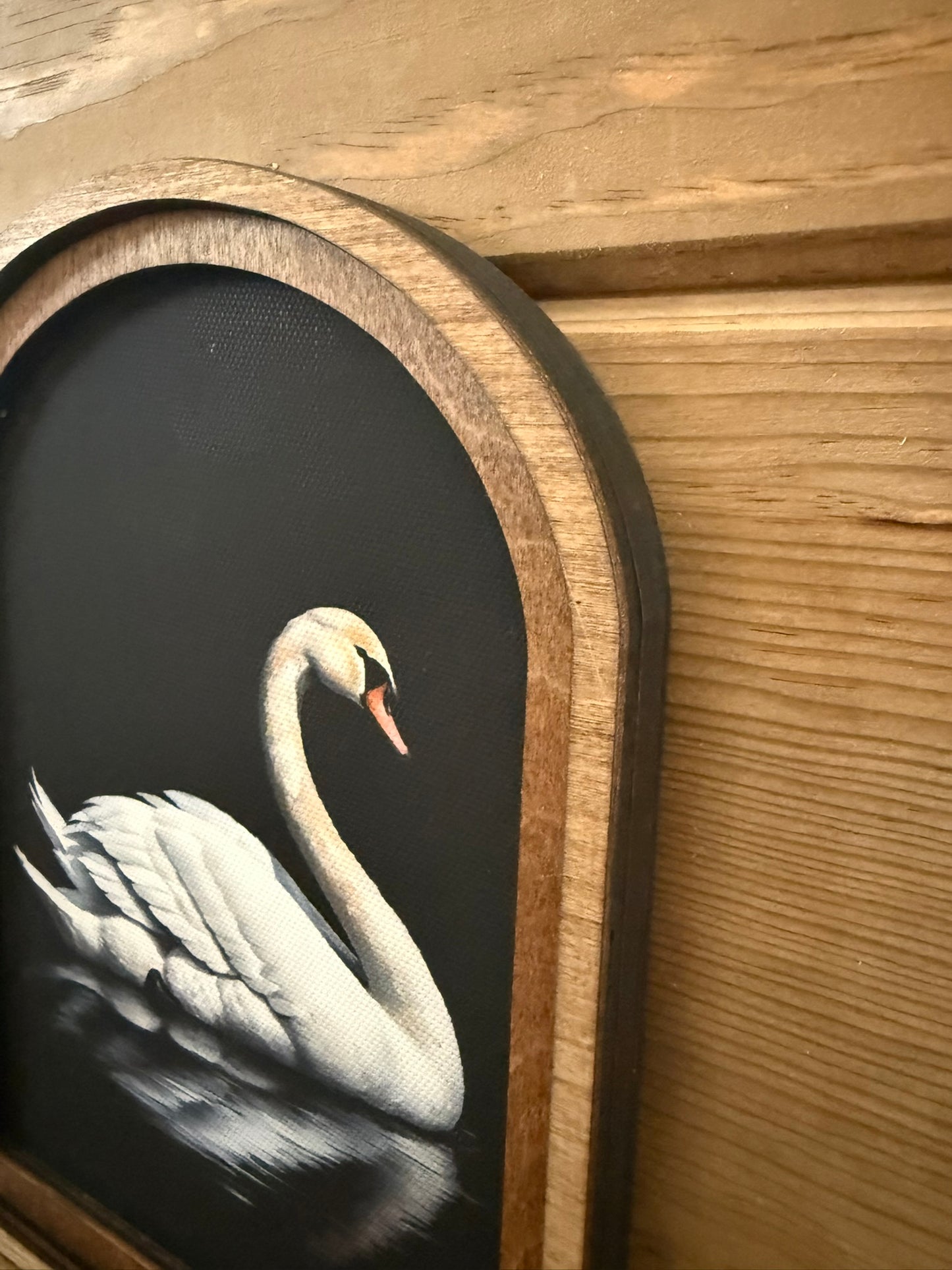 Arch Top Swan Framed Art